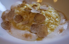 White truffle risotto 280x178 Truffle: The mysterious fungus